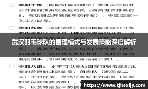 武汉羽毛球队的管理模式与发展策略深度解析
